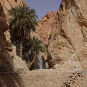 Mountain oasis of Chebika du Jerid, Tozeur TN