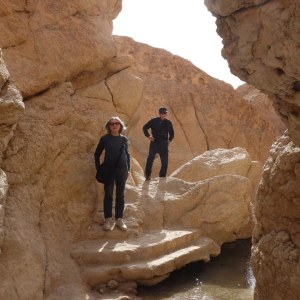 Mountain oasis of Chebika du Jerid, Tozeur TN