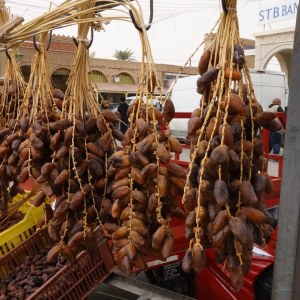 The market in Tozeur TN