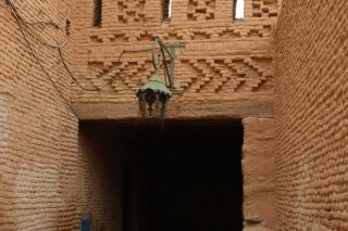 The Medina in Tozeur TN