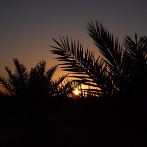 DSC02155
