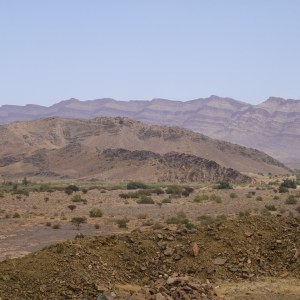 DSC02195