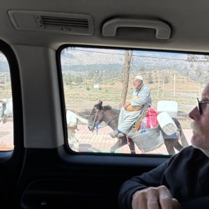 IMG_5251