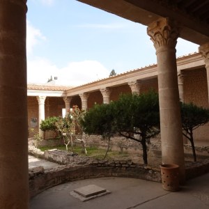 DSC01542