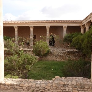 DSC01543