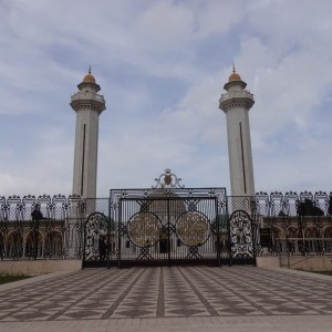 DSC01635