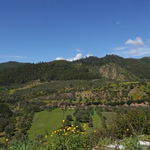DSC02902