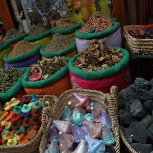 DSC02516
