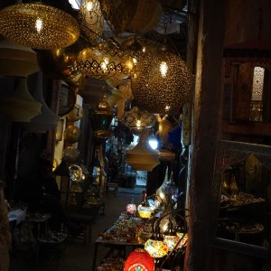 DSC02536