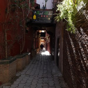 DSC02866
