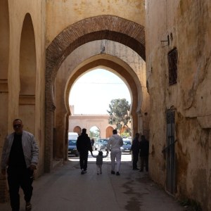 DSC02880