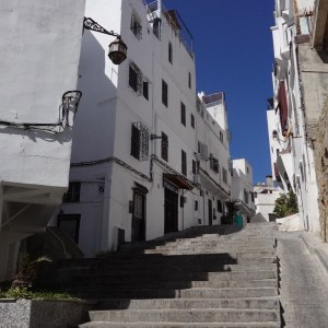 DSC03150