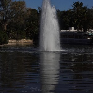 The pond at the Tunis Zoo in the Belvedere Park