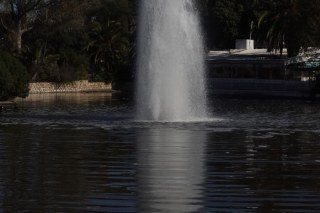 The pond at the Tunis Zoo in the Belvedere Park
