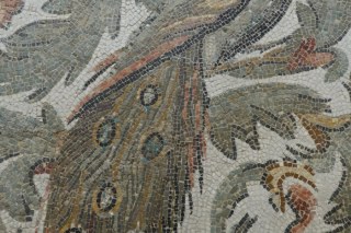 National Museum of Bardo, peacock mosaic, Tunis TN