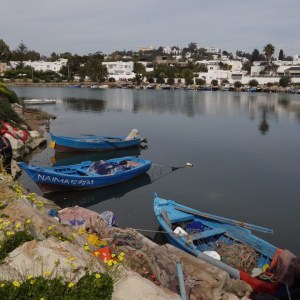 The Punic Ports of Carthage TN